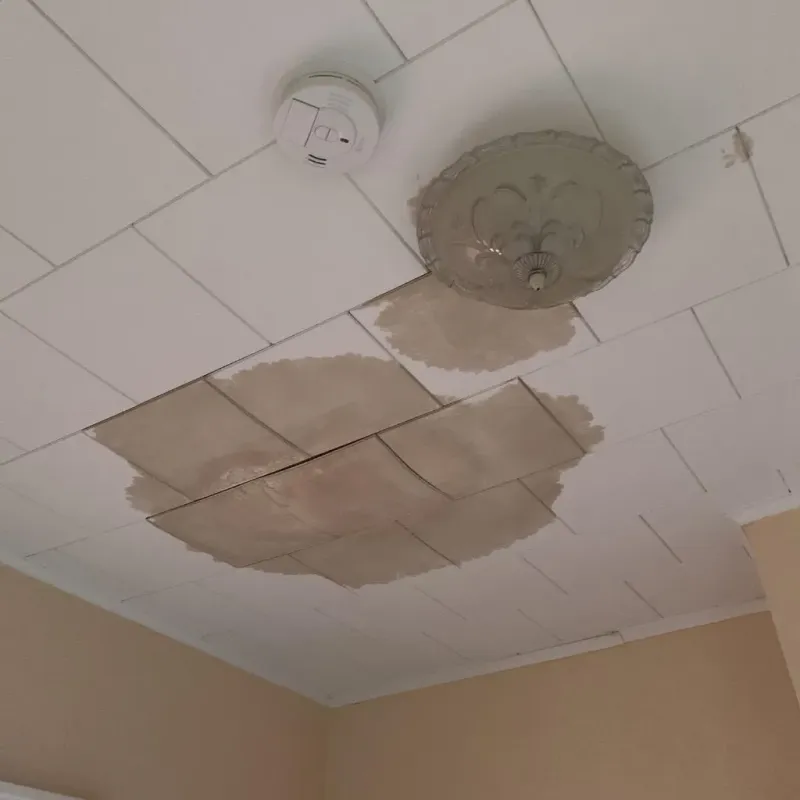 Ceiling Water Damage Repair in Frontenac, KS