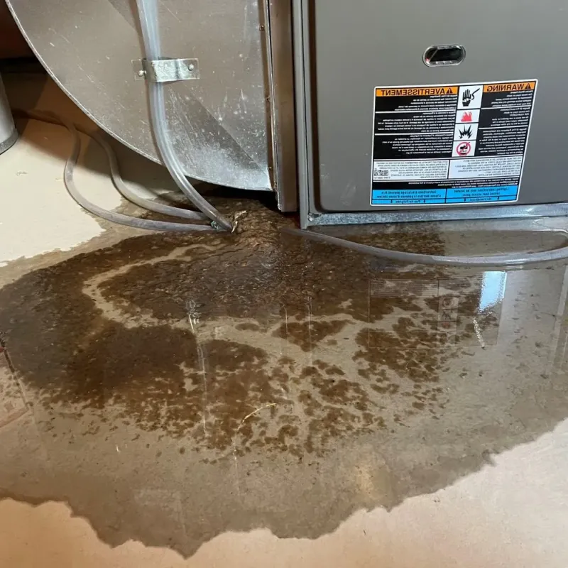 Pipe Burst and Leak Restoration in Frontenac, KS