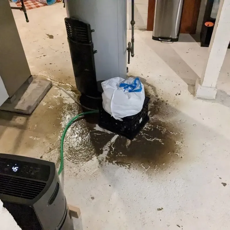 Sewage Backup Cleanup Service in Frontenac, KS